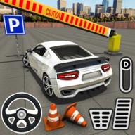 停车司机测试(Car Parking Driver Test)