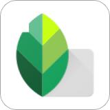snapseed2023最新中文版官方版