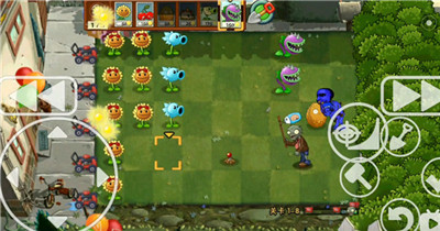 植物大战僵尸暮雨版