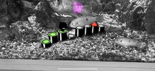 言弃AR版ios版 v3.0.5