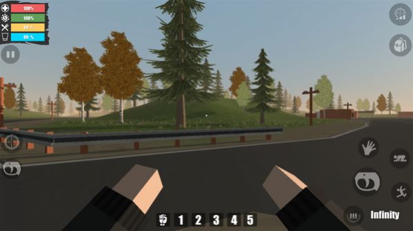 自由队幸存者变异者 v0.161