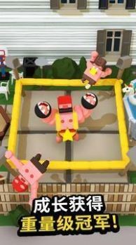 肉感拳击手 2024-06-25 15:08