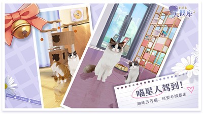 梦间集天鹅座周年庆 v2.2.2
