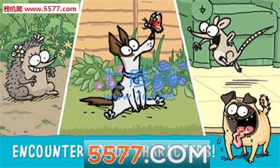 Simons Cat Dash
