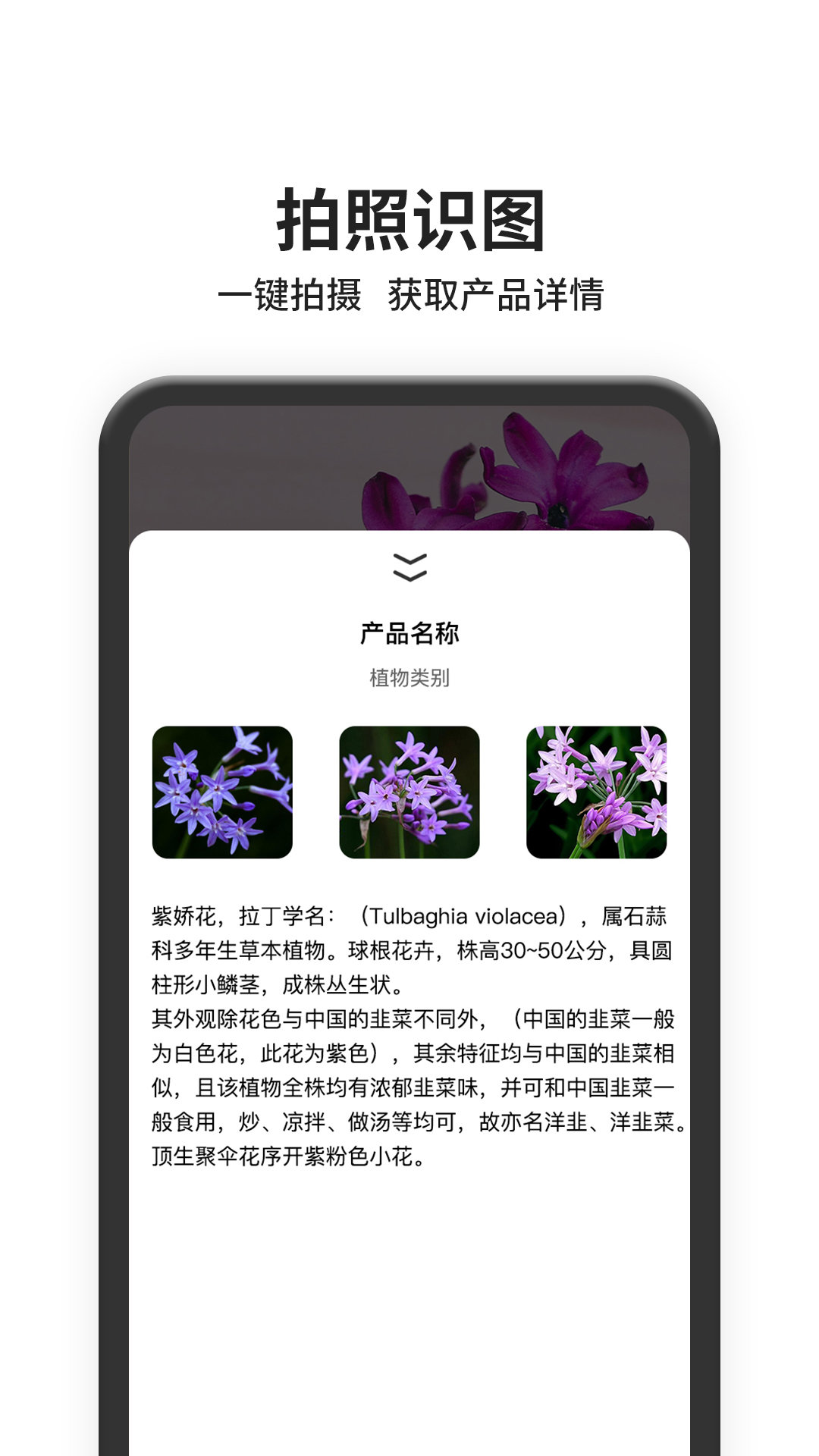 以图搜图app安卓版 v1.0.0