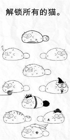 自律猫(fatty cat).jpg 自律猫(fatty cat).jpg