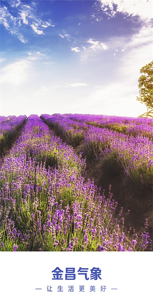 金昌天气预报 v1.0