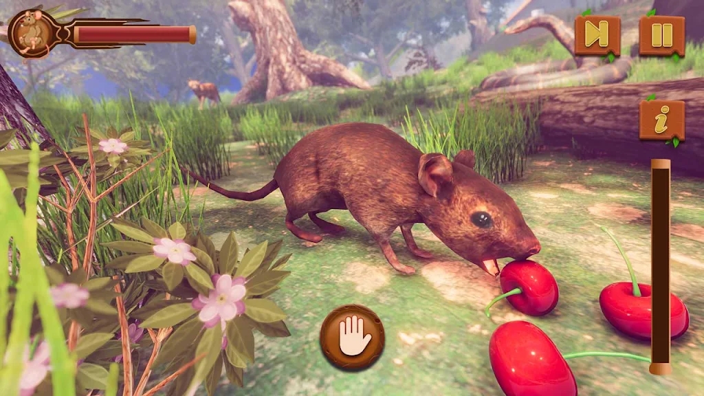 老鼠模拟器猫和老鼠游戏官方版(Mouse Simulator: Cat Mouse)  v5.2.4