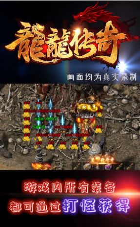 龙龙传奇手游官方最新版图片1