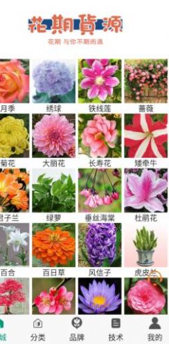 花期货源安卓版app  v3.3.4