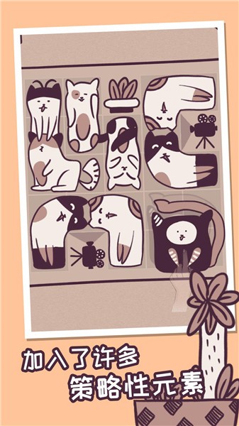 我的小猫贼好看  v1.0.0