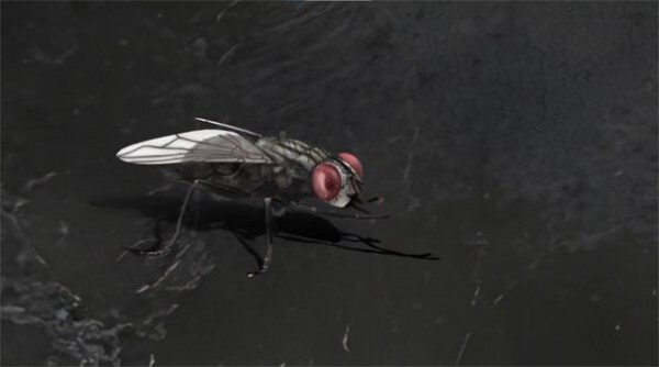 残秽的我们2普渡慈航 需要支持安卓系统5.2以上