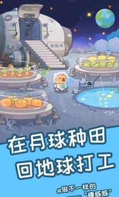 慢豚豚的生活免广告 v1.0.5