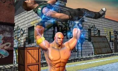 真实功夫行动  v1.0