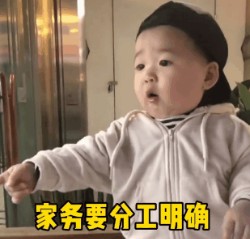 以后我们住在一起了家务要分工明确我就负责收拾你表情包gif  v1.0
