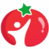 番茄少年官网版