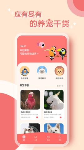 鹦鹉翻译器 v1.0.0