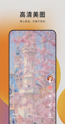 萌猫桌面壁纸 v1.0.5