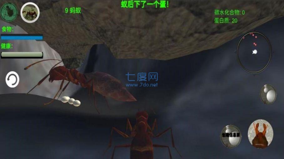 奇妙动物世界探险游戏