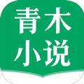 青木小说
