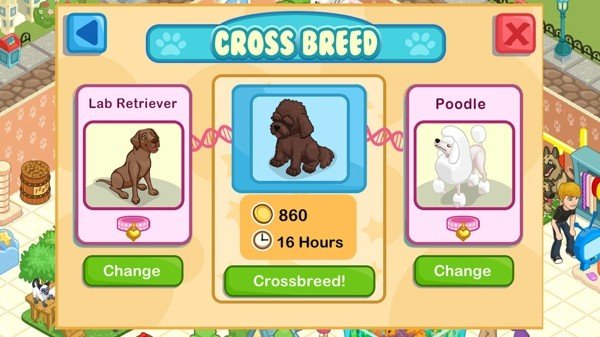 宠物店物语 版本:v1.0.6.6