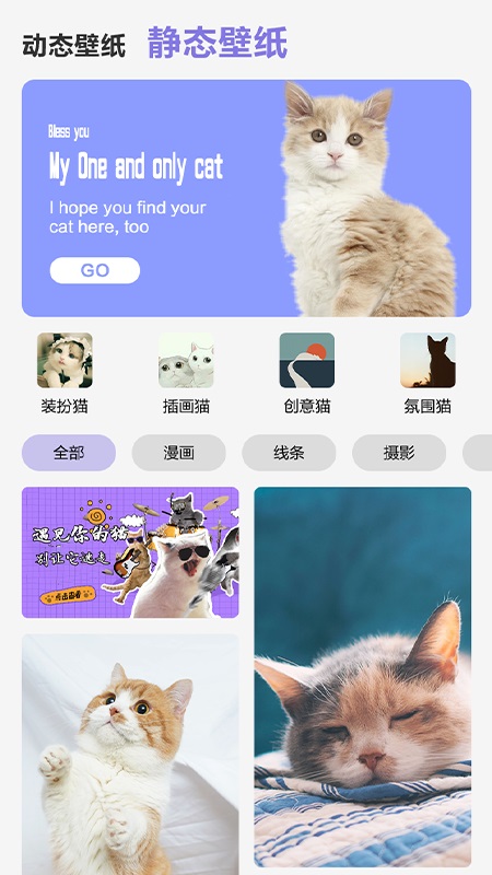 可爱喵喵壁纸大全 1.0