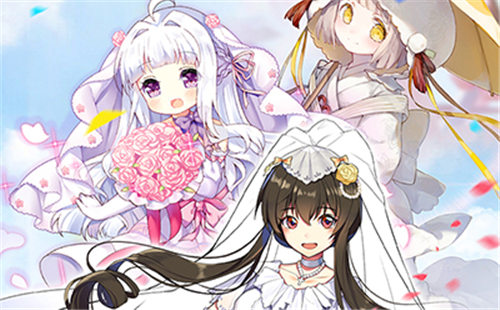 料理次元官方版 v4.1.4