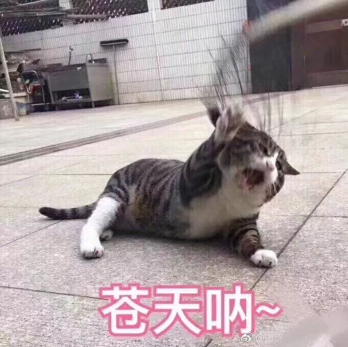 抖音下下下下下下下下周就要过年了表情包.jpg 抖音下下下下下下下下周就要过年了表情包.jpg