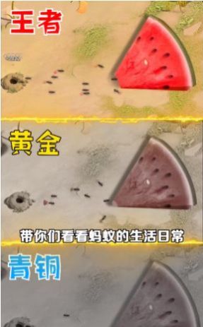 蚁族崛起庭院战争手游官方版  v4.0.3