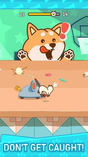 别被柴柴发现 v1.0.3