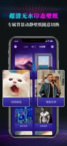 小调壁纸.jpg