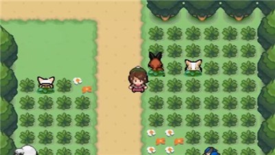 口袋妖怪剑盾游戏  v2020.11.25.11