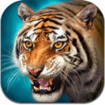 The Tiger(虎王模拟器)