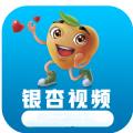 银杏视频2022官方最新版 