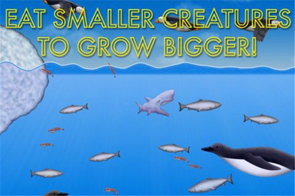 美味海洋2鲨鱼版 v1.3.4.0