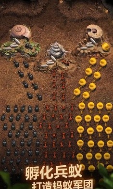蚂蚁地下王国汉化版  v1.11.1