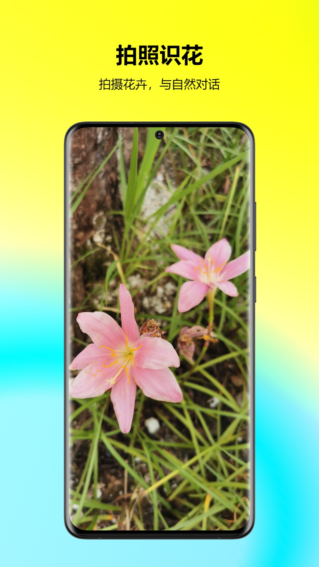 万能拍照识花 v23.6.30