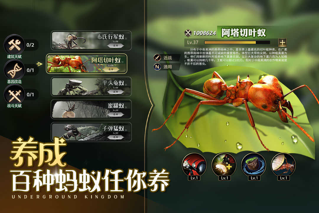小小蚁国单机版 v1.55.0