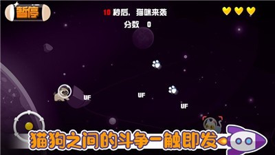 猫狗大战