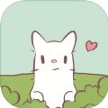 猫和汤1.8.1版本ios下载地址 