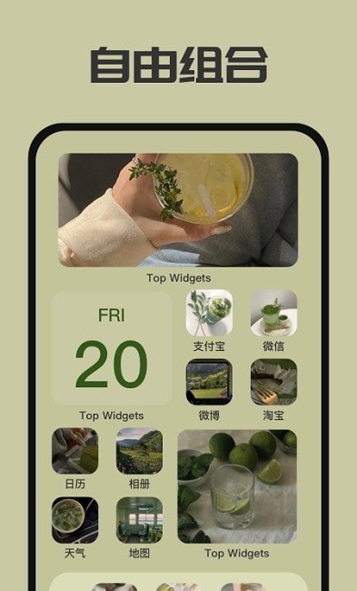 元气主题小组件 v1.0.1