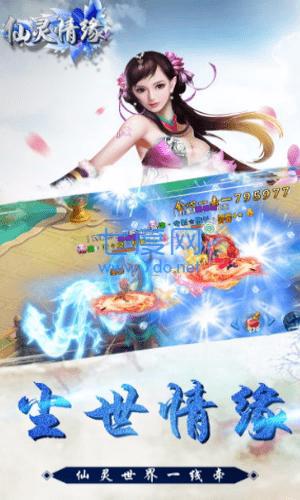 仙灵情缘果盘版