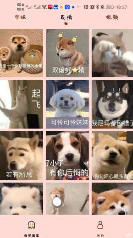 汉克狗 v1.0