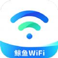 鲸鱼WiFi