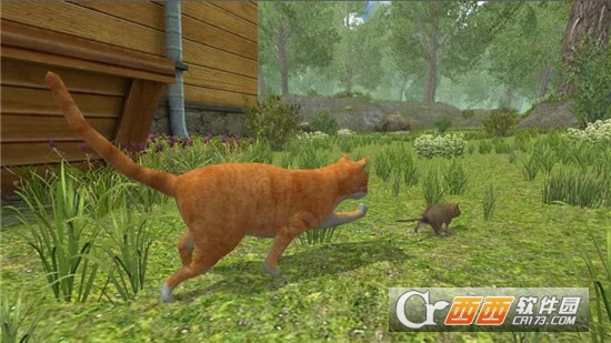 老鼠模拟器汉化版 v1.15 安卓版