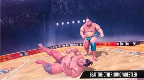 相扑摔跤战士 2020-05-29 09:33