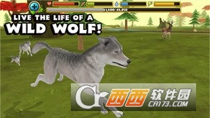 WolfSim(灰狼模拟) v2.0.1
