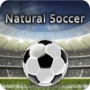 自然足球