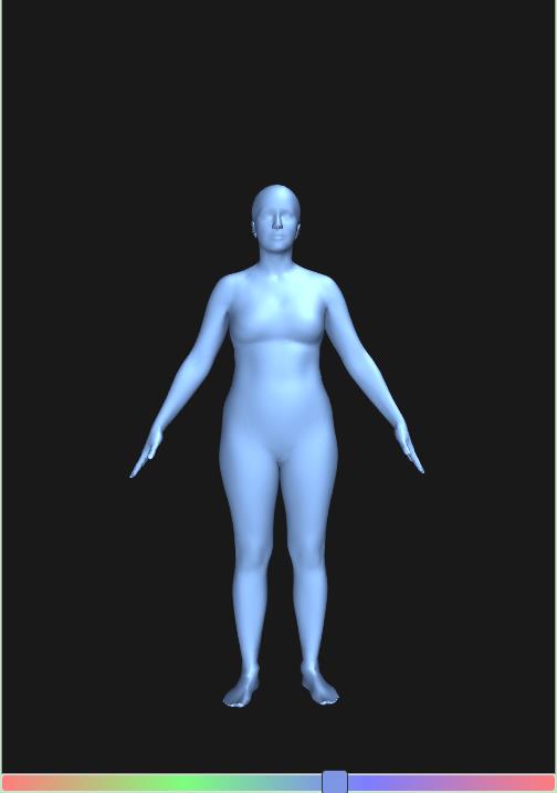 bodyvisualizer
