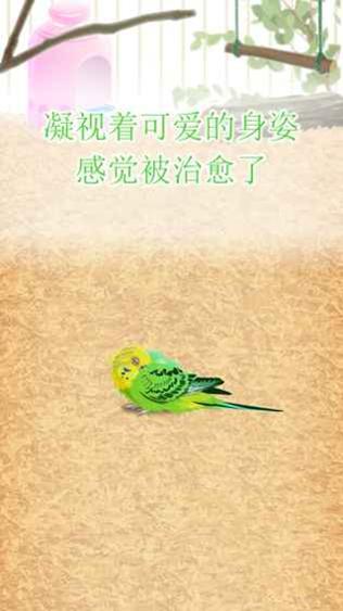 治愈的鹦鹉育成 v3.0.5